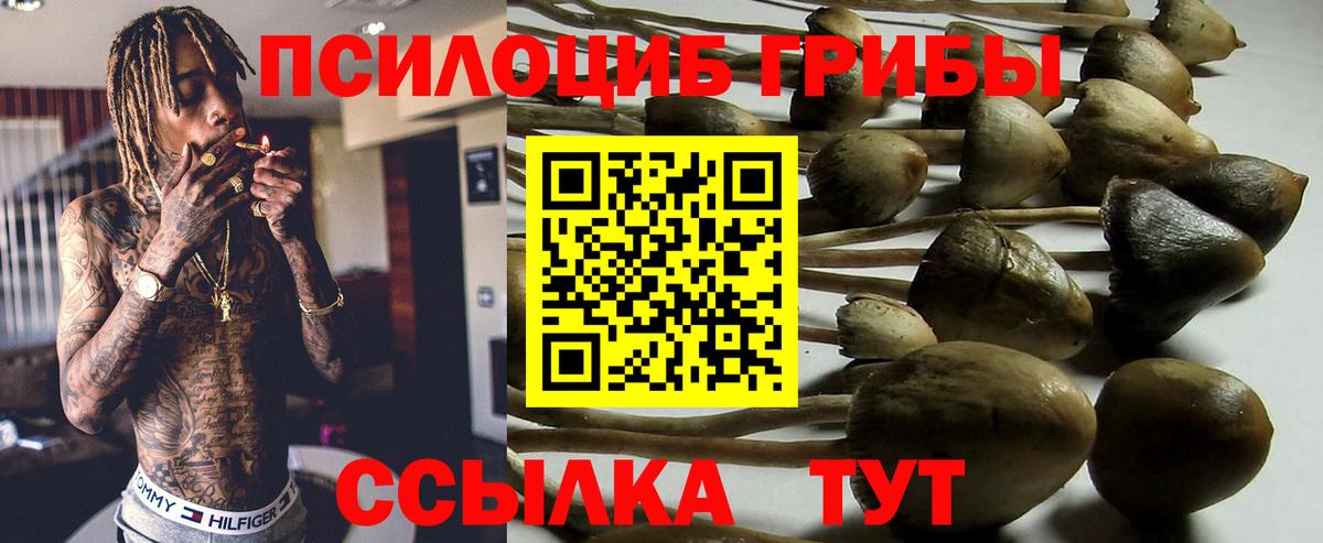 Галлюциногенные грибы Cubensis Первоуральск
