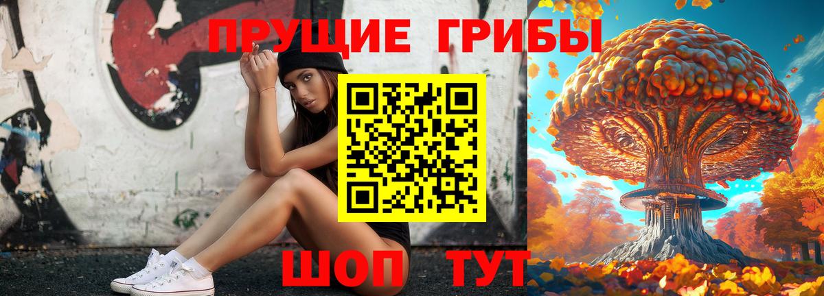 как найти закладки  Вход с VPN  Первоуральск  Псилоцибиновые грибы GOLDEN TEACHER  Галлюциногенные грибы прущие грибы 